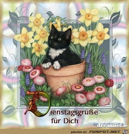 Dienstagsgruesse Dienstagsgruesse