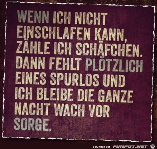 Schaefchen Schaefchen