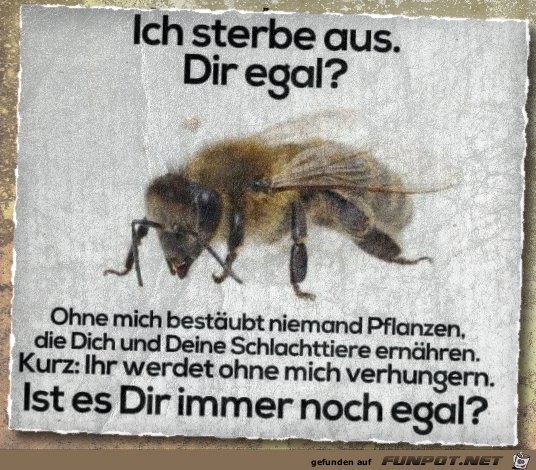 Ich sterbe aus Ich sterbe aus