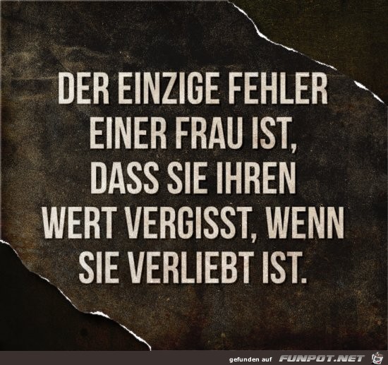 Der einzige Fehler