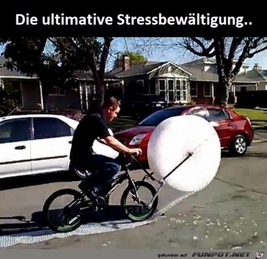 Stressbewltigung