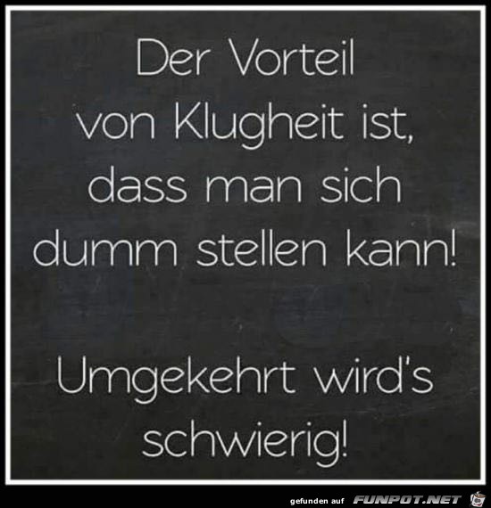 Der Vorteil der Klugheit