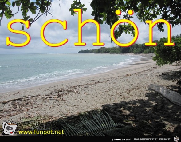 schön schön