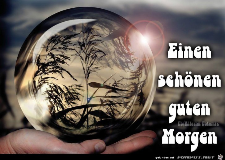 Einen schoenen Guten Morgen Einen schoenen Guten Morgen