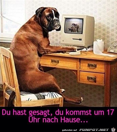 Erwischt Erwischt