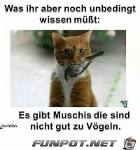 Was ihr aber noch unbedingt wissen müßt: Was ihr aber noch unbedingt wissen müßt: