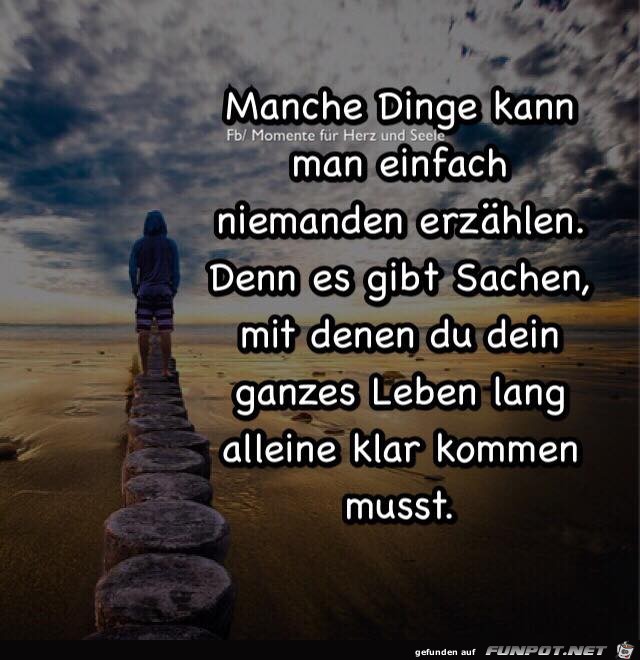 Manche Dinge