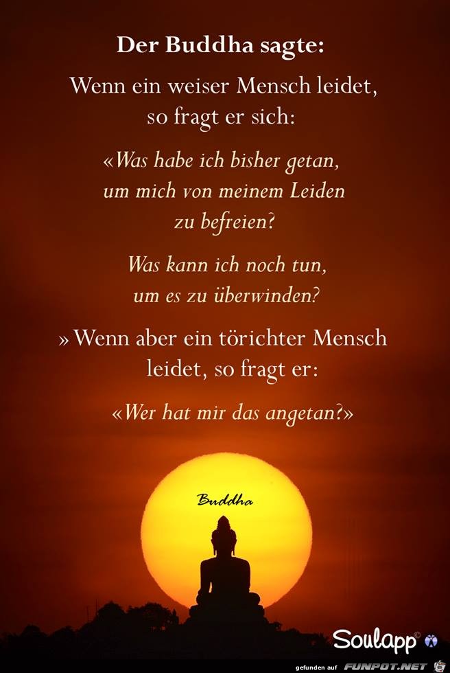 Der Buddha sagte