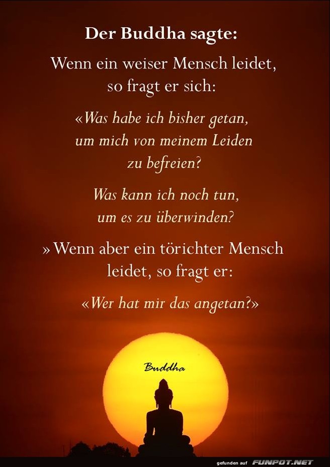 Der Buddha sagte