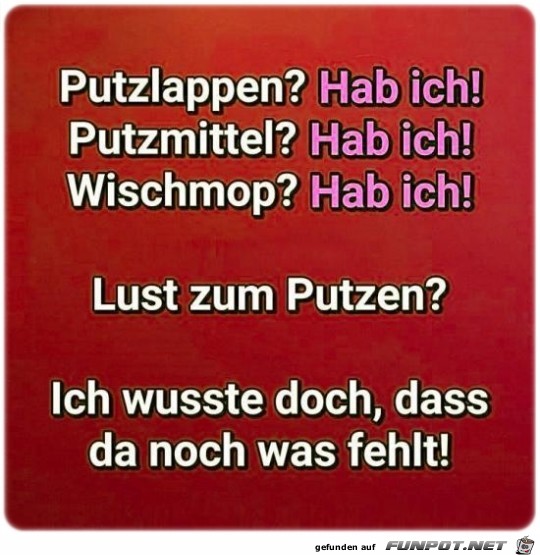 Putzlappen Putzlappen