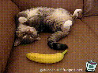 Erschrocken Erschrocken