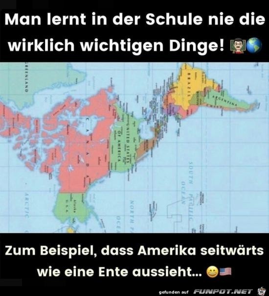 Amerika ist eine Ente