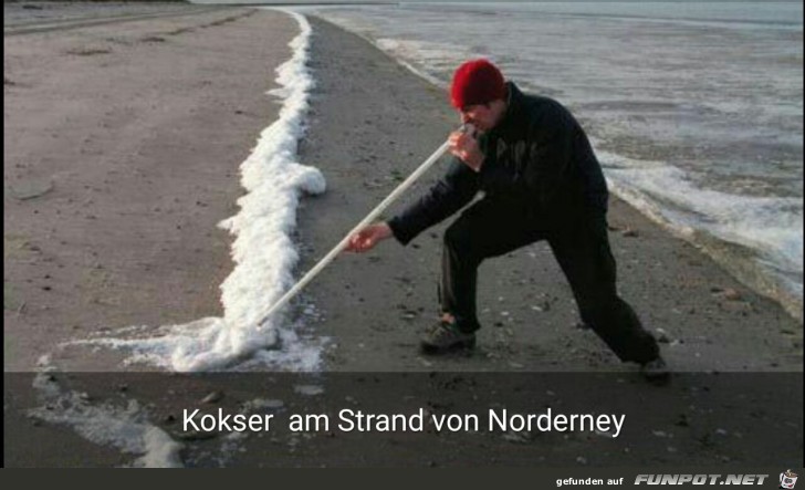Kokser am Strand von Norderney Kokser am Strand von Norderney