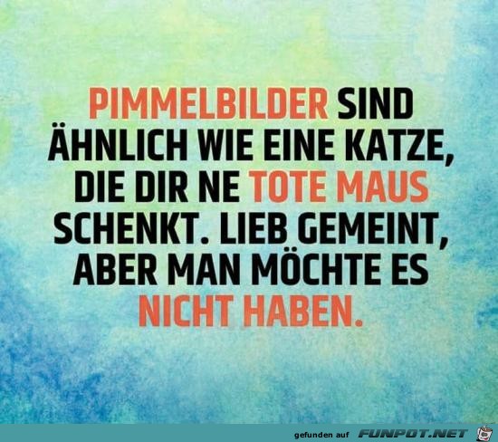 Pimmelbilder..... Pimmelbilder.....
