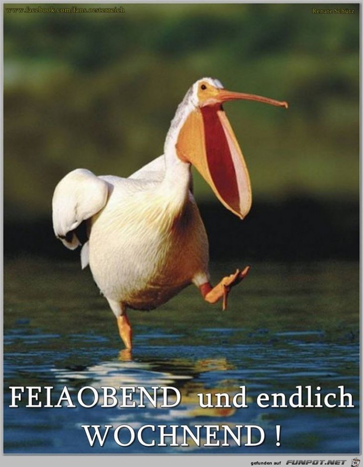 Feierabend Feierabend