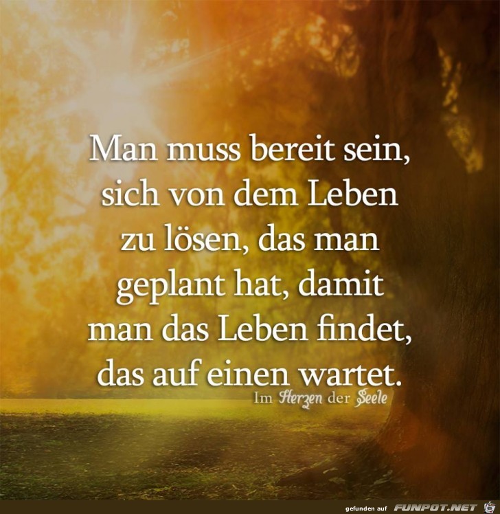 Man muss bereit sein