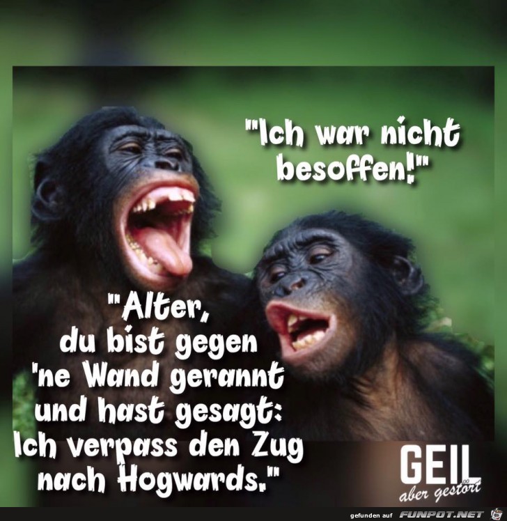 War nicht besoffen War nicht besoffen