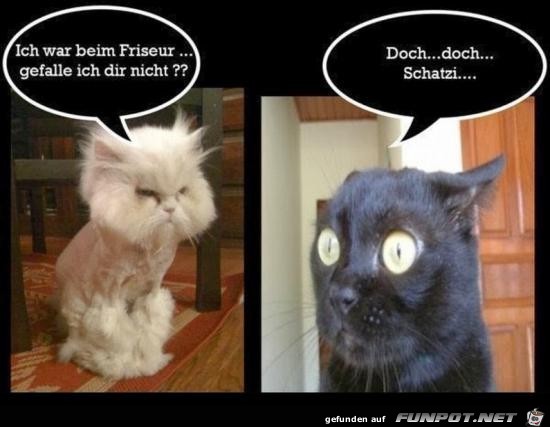 Gefalle ich dir nicht Gefalle ich dir nicht