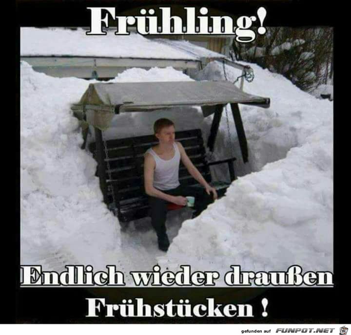 Frühling Frühling