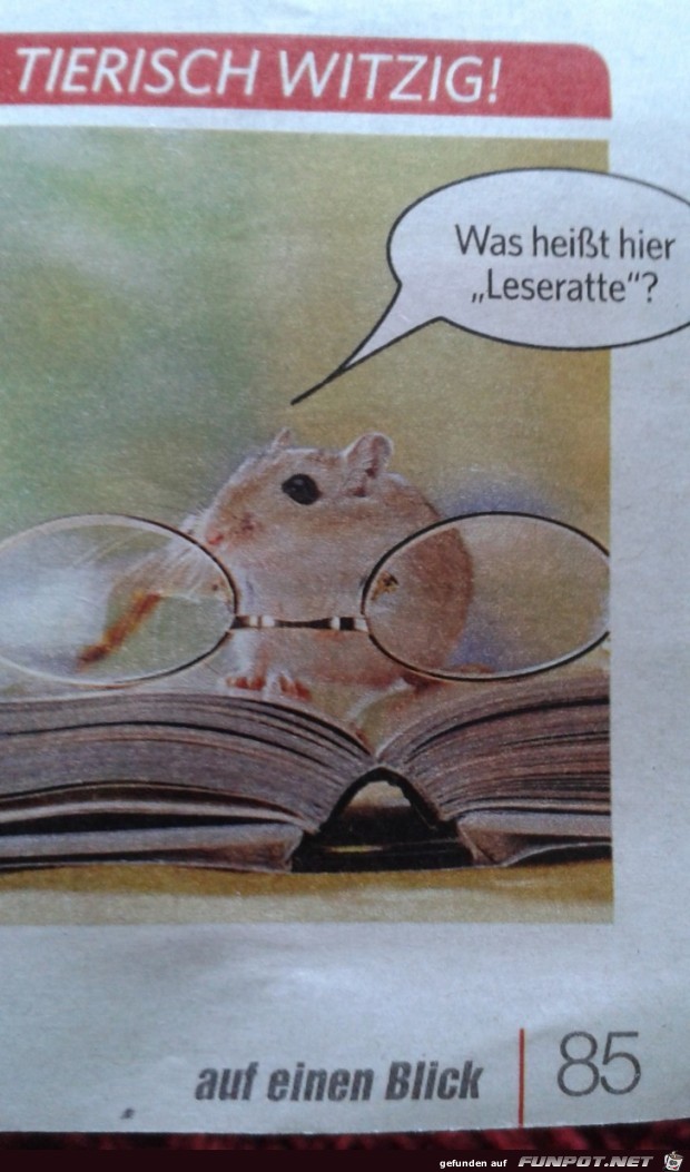 Leseratte Leseratte