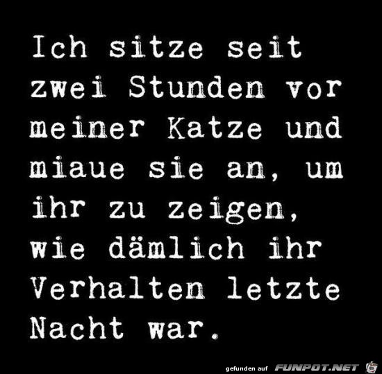 seit 2 Stunden vor meiner Katze....... seit 2 Stunden vor meiner Katze.......