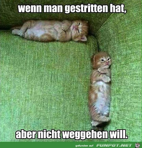schwerer Streit schwerer Streit