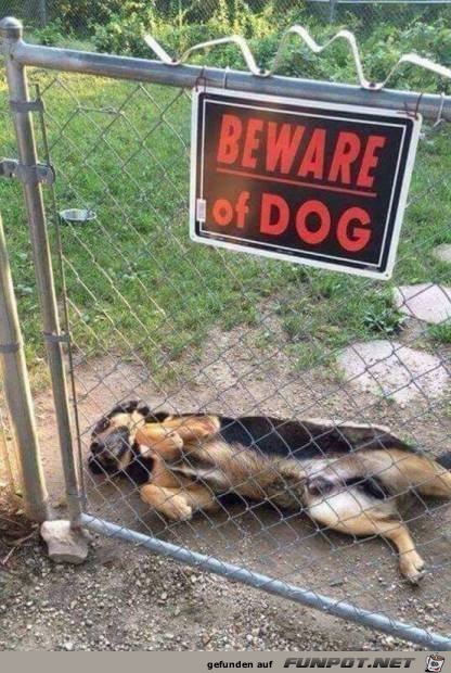 Gefährlicher Wachhund Gefährlicher Wachhund