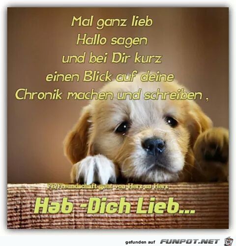 Mal ganz lieb