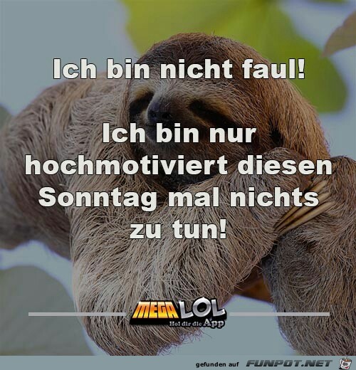 Ich bin nicht faul !