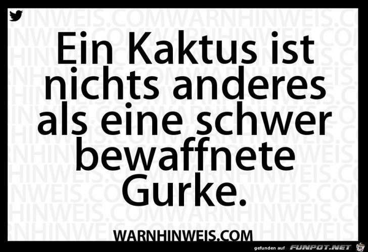 Ein Kaktus