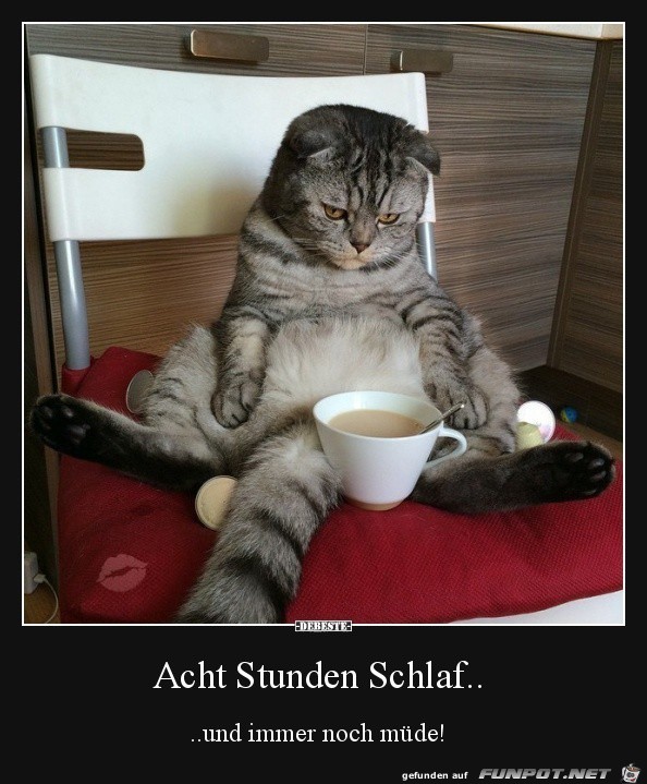 Puh bin ich müde Puh bin ich müde