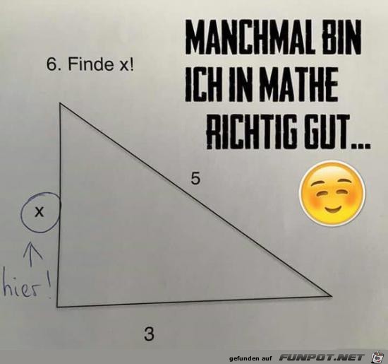 Ein Mathe-Genie