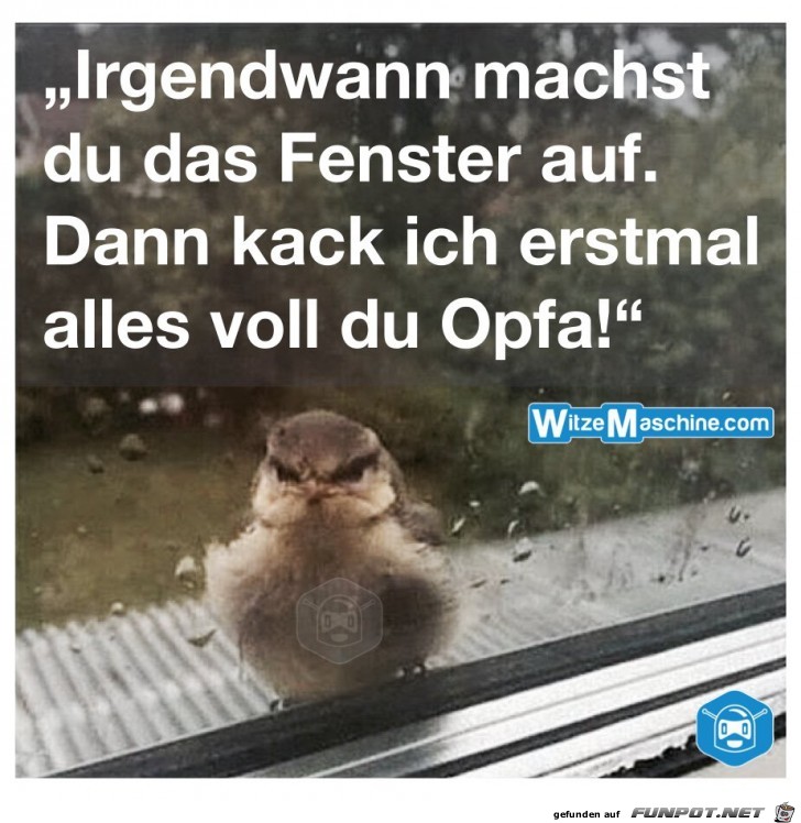 irgendwann machst du das Fenster auf......