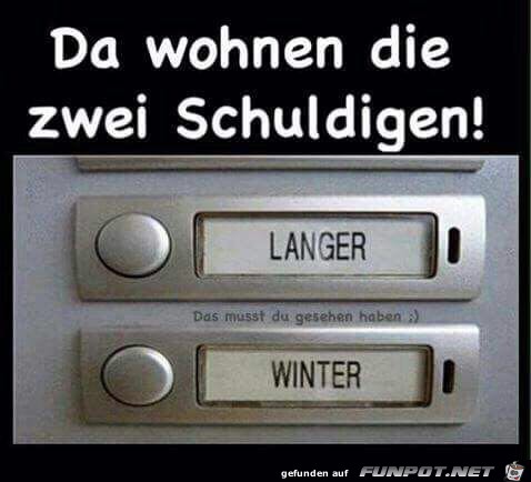 Die beiden Schuldigen Die beiden Schuldigen
