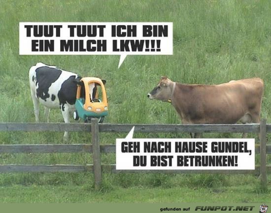 Smalltalk der Kühe Smalltalk der Kühe