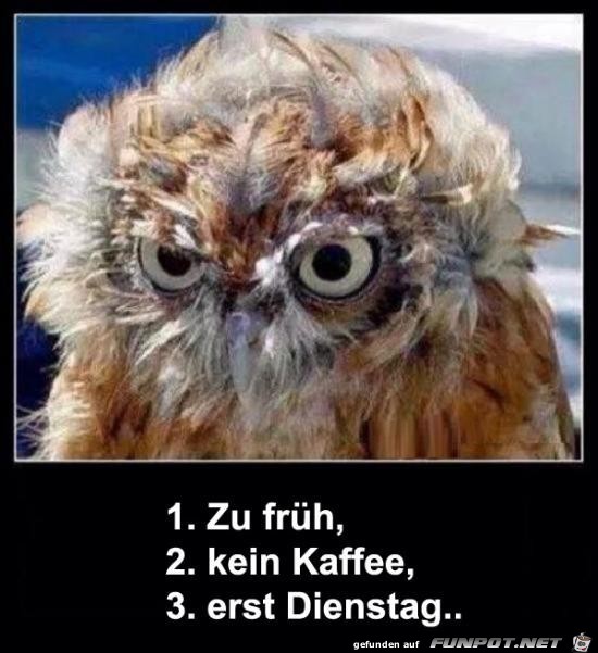 Erst Dienstag Erst Dienstag