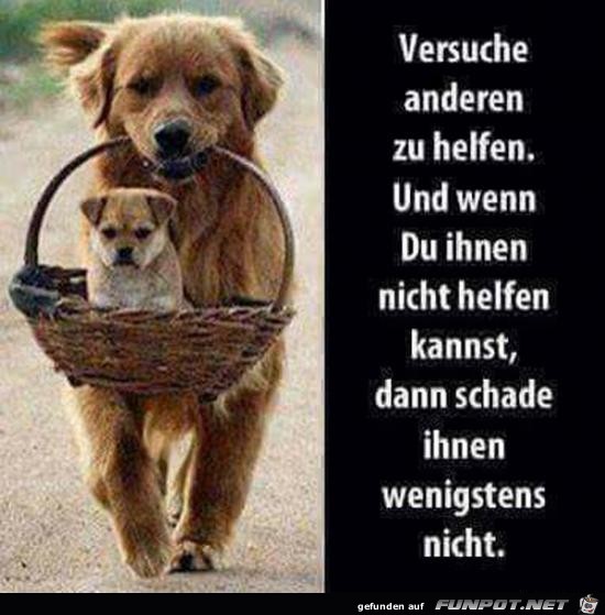 So ist es