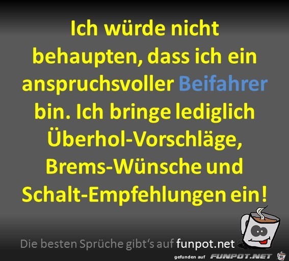 Beifahrer Beifahrer