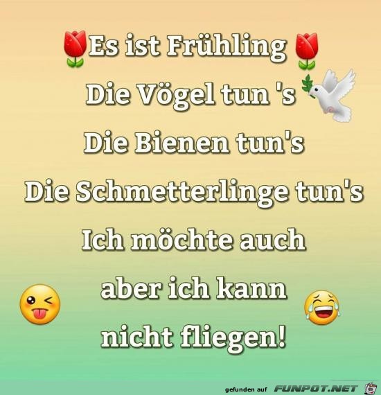 es ist Frhling.......