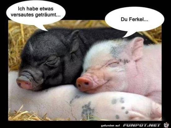 Du Ferkel