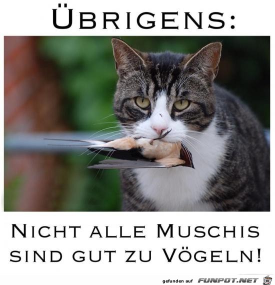 Übrigens Übrigens