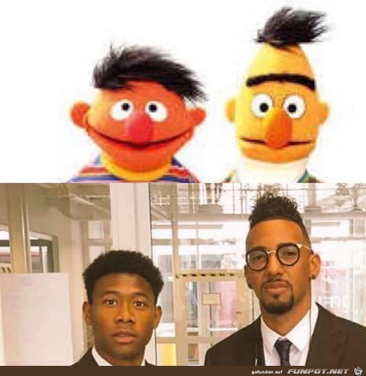 Ähnlichkeiten Ähnlichkeiten