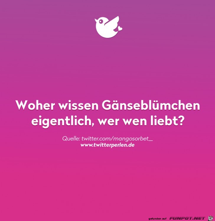 Gnseblmchen