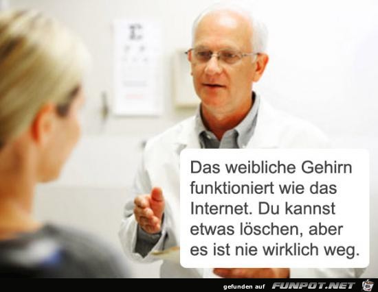 das weibliche Gehirn funktioniert wie das Internet..... das weibliche Gehirn funktioniert wie das Internet.....