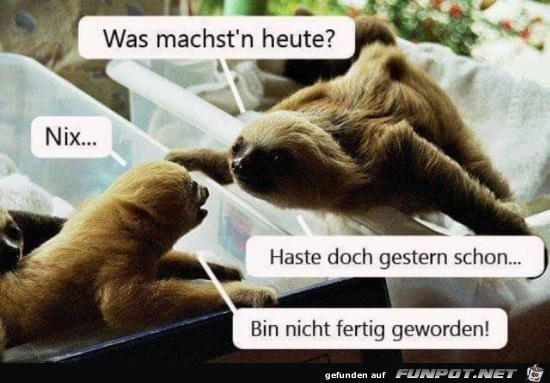 was machst´n heute?....... was machst´n heute?.......