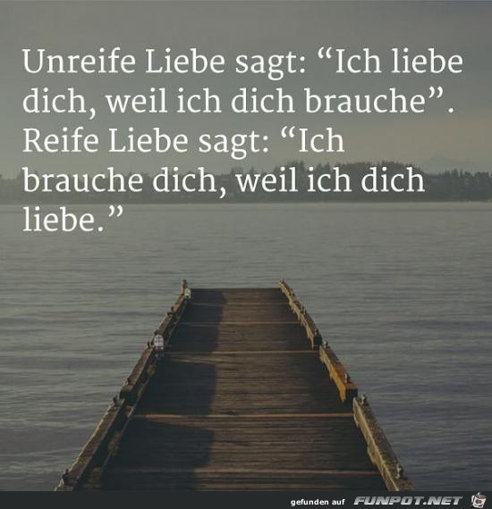 Unreife Liebe sagt:........