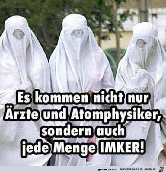 Ziemlich viele Imker Ziemlich viele Imker