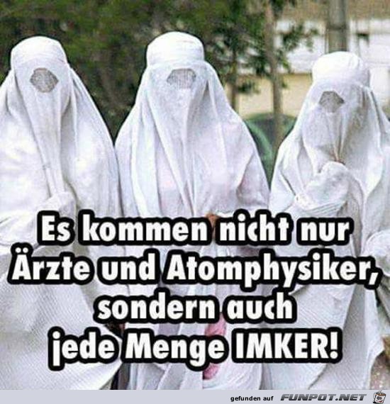 Ziemlich viele Imker