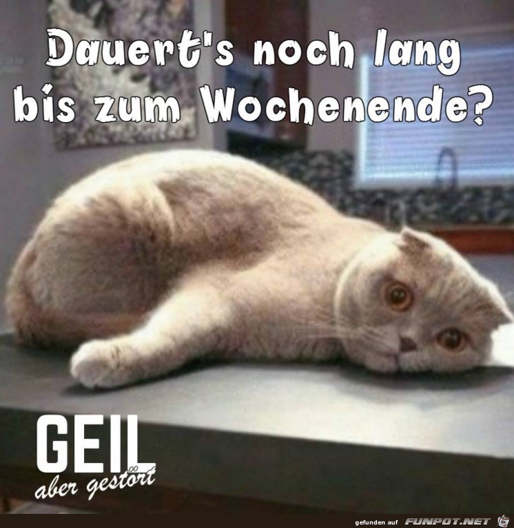 Dauert es noch lange Dauert es noch lange