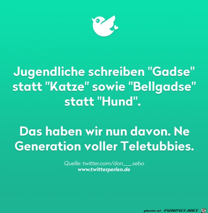 Wie die Jugend schreibt